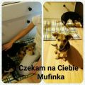 Mufinka