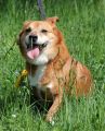 Ralf