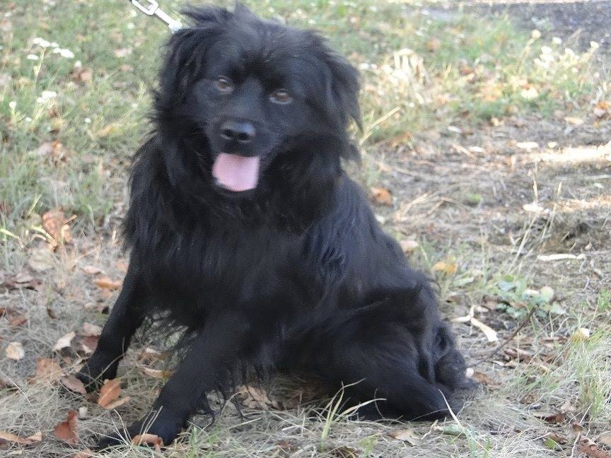 Czaruś
