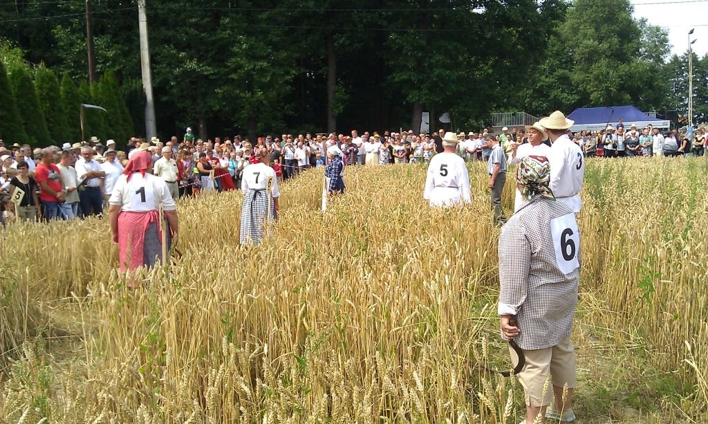 Z sierpem w pole już tylko okazyjnie 