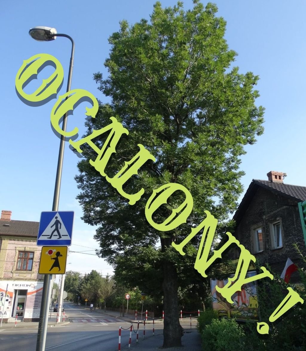 "Z niewielką pomocą przyjaciół"