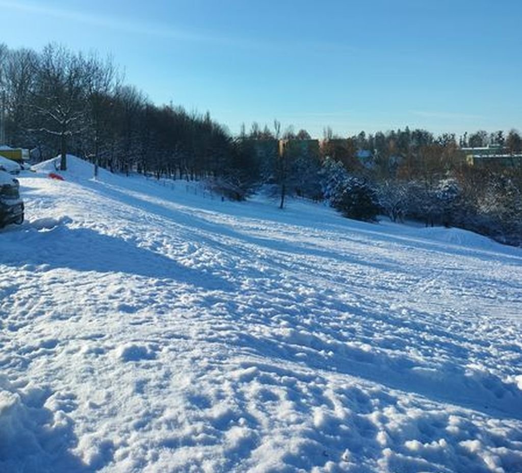 Zapraszają po zmroku. Na sanki!
