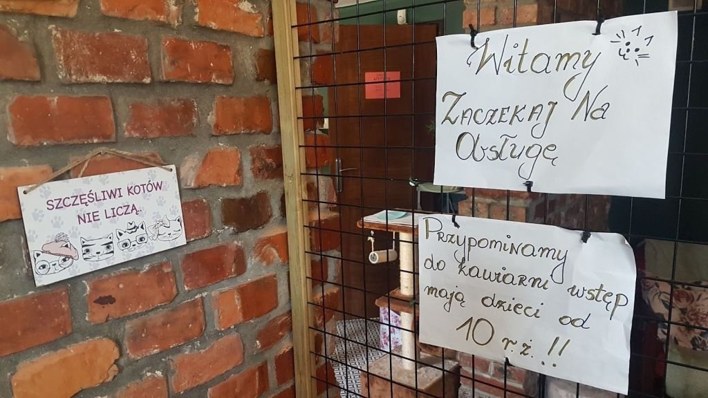 Koniec Kociej Kawiarni?