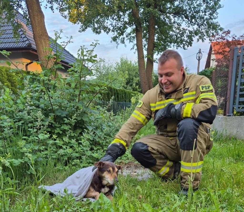 Brawo strażacy!