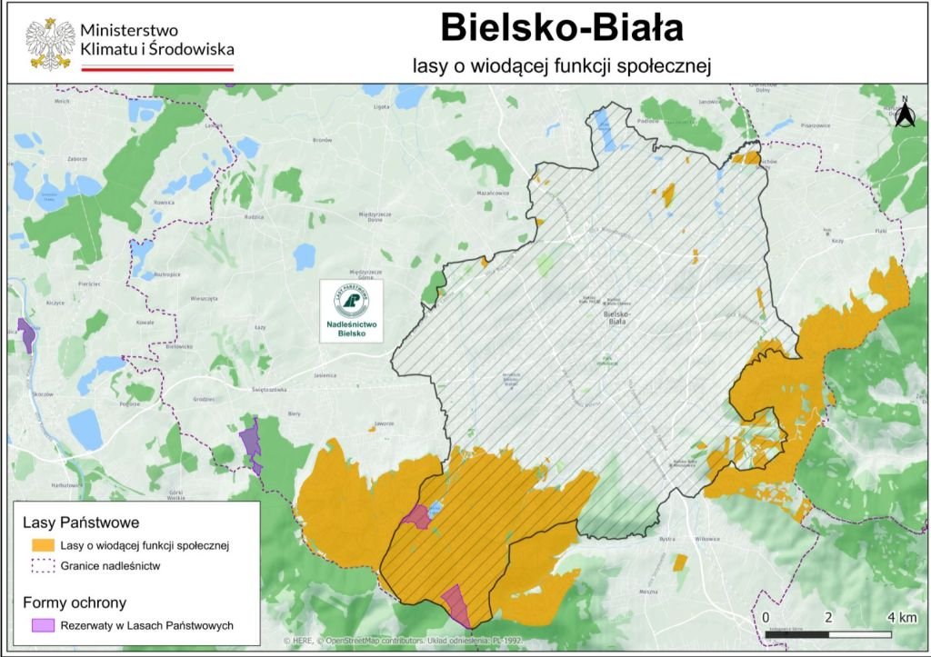 Lasy Społeczne Wokół Bielska-Białej Zatwierdzone. Znamy Już Ich Obszar