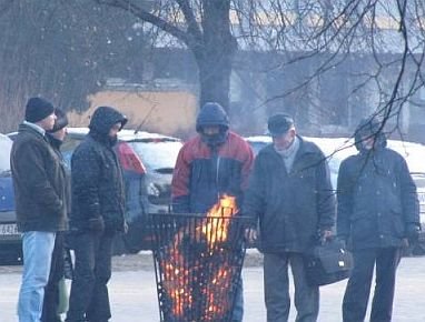 Koksiaki na przystankach