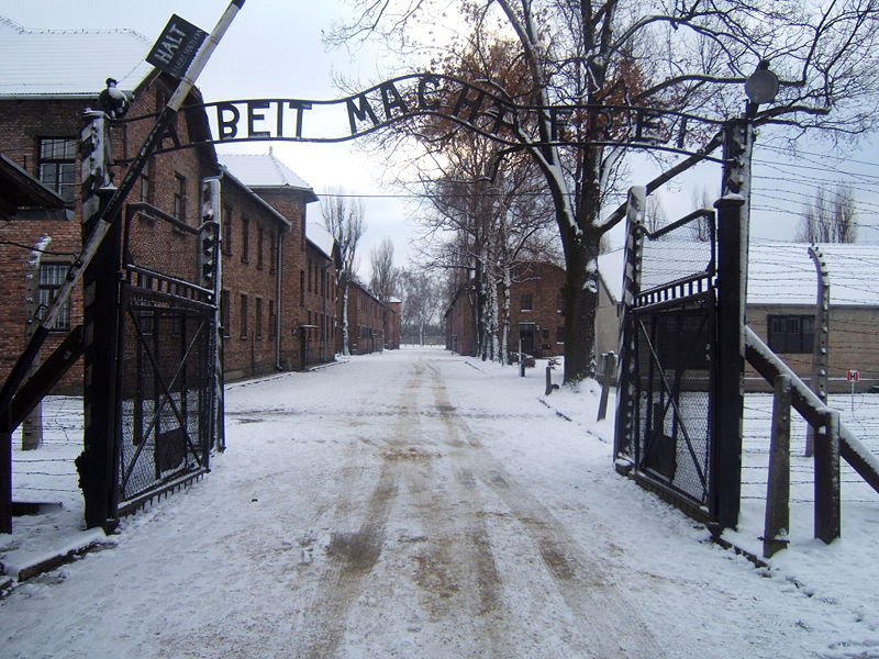 69. Rocznica Wyzwolenia Auschwitz – Birkenau