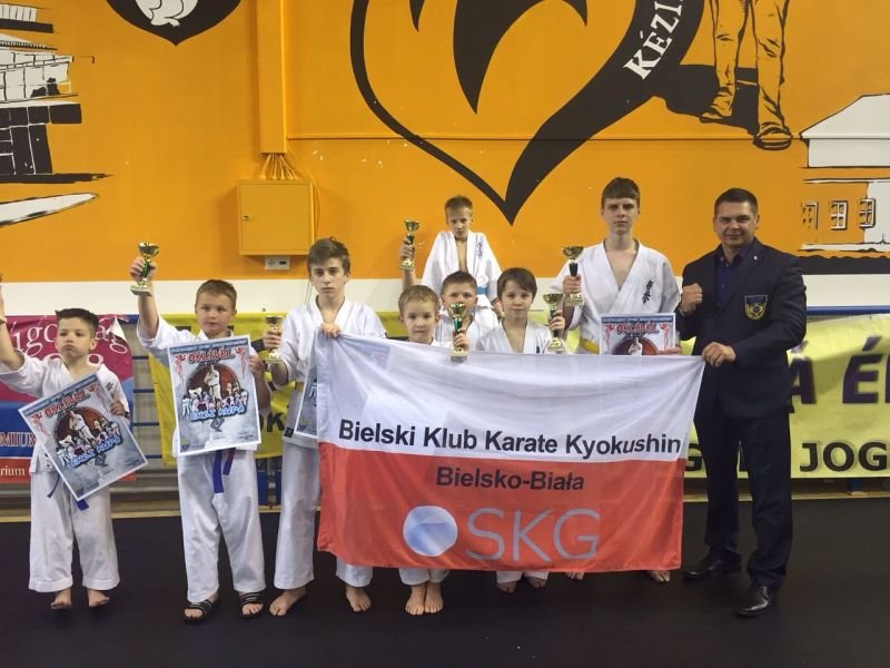 Sukcesy karateków na Węgrzech