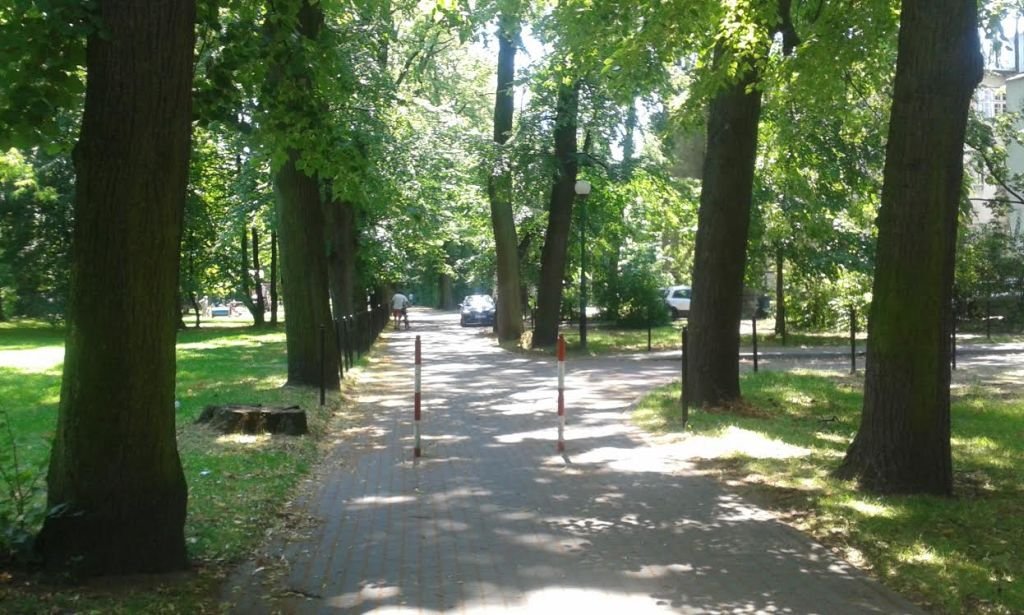 Park nie dla samochodów!