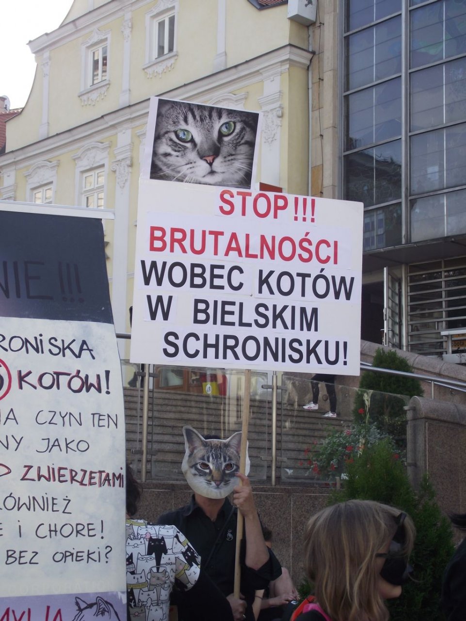 Koci protest w sprawie schroniska w Bielsku