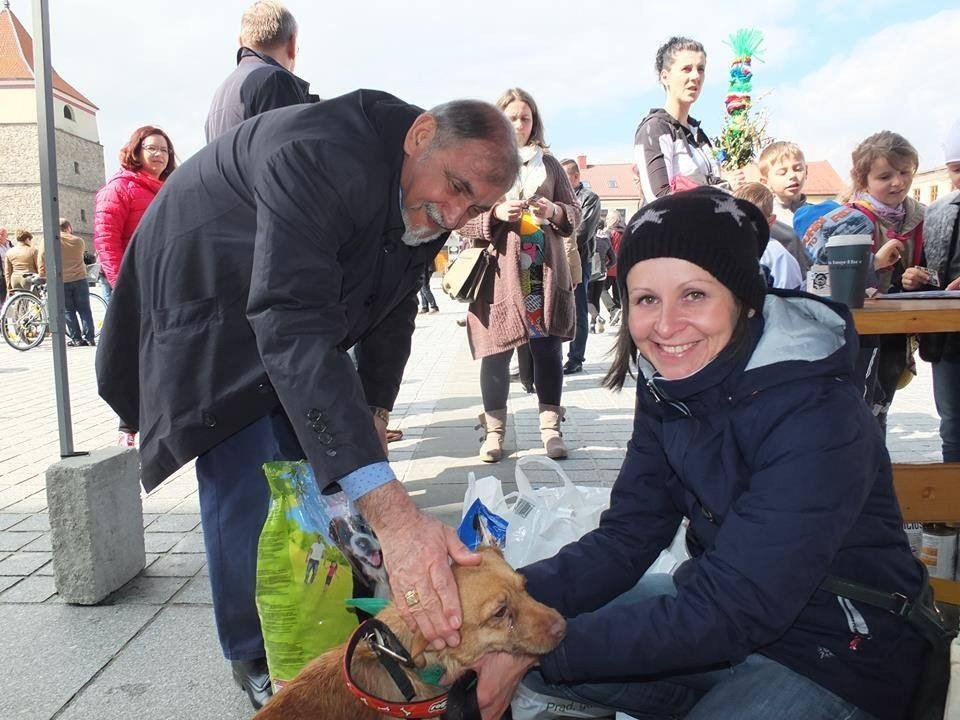 Nie mają domu i miłości