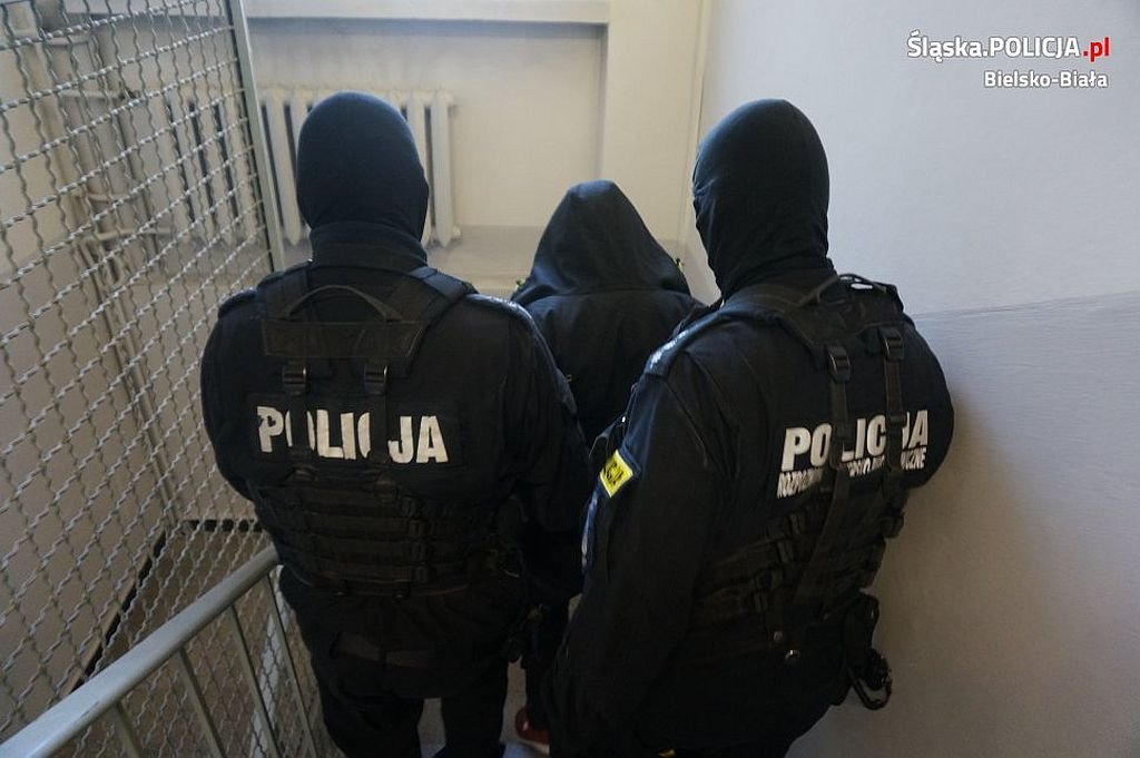 Diler w rękach policji