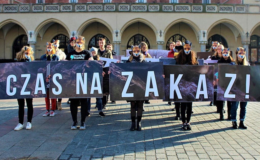 Każdy może powiedzieć STOP