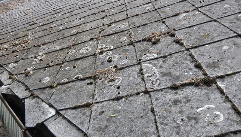 Kto się "załapie" ten skorzysta