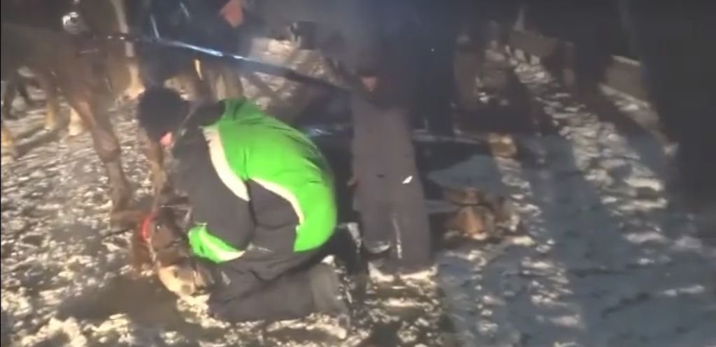 Padł z wycieńczenia? Sprawą zajęła się prokuratura