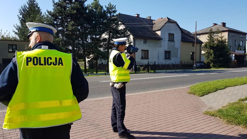 Akcja policji na drodze