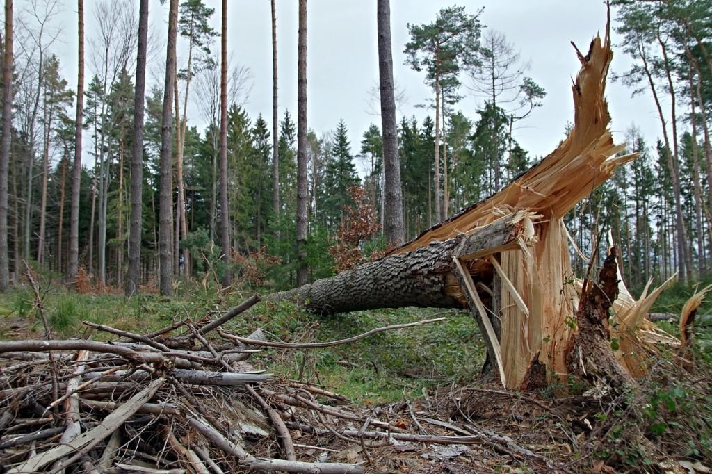 Mocno powieje! IMGW ostrzega