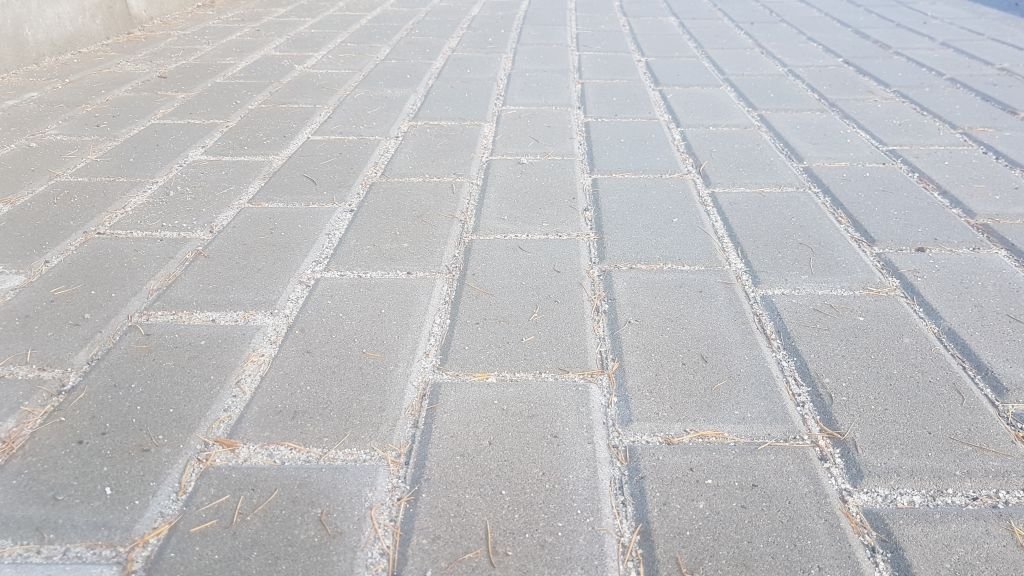 Marzą o chodniku. Napisali petycję