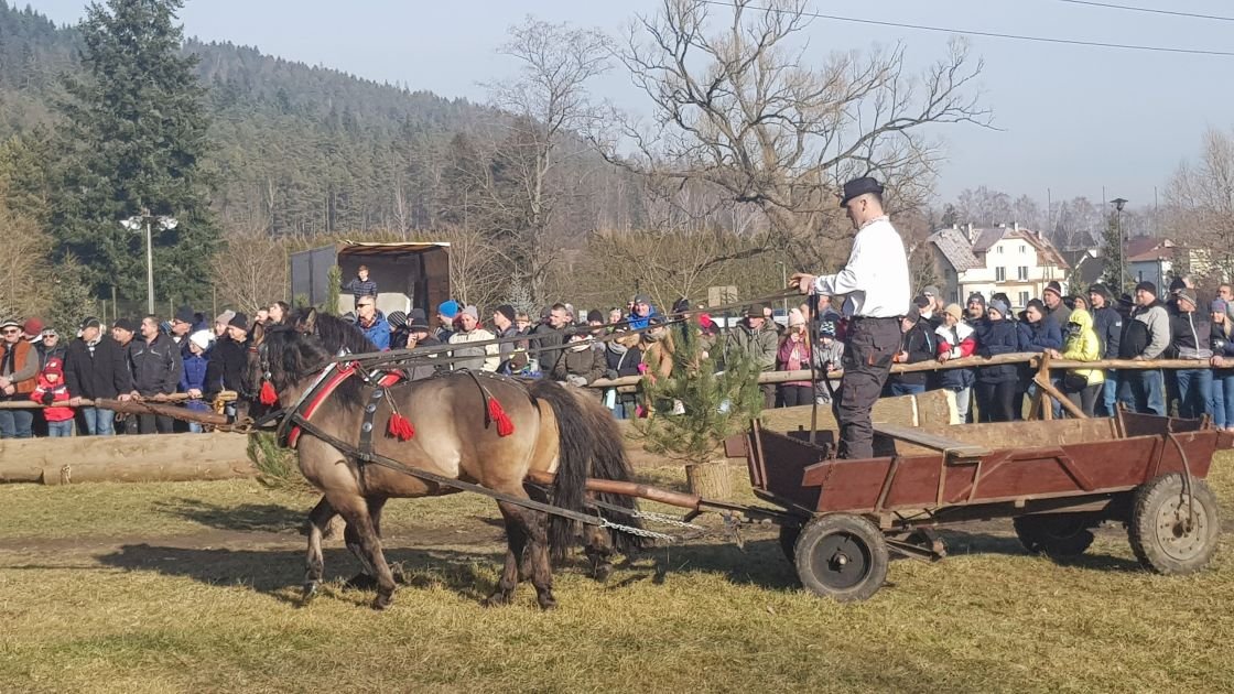 Po pracy na zawody