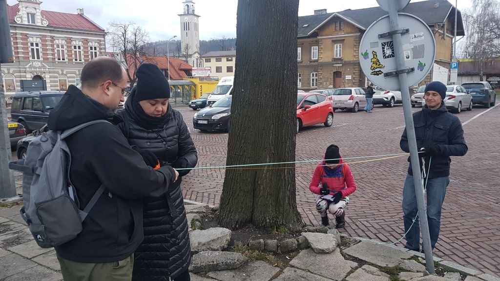 Mierzą drzewa w mieście