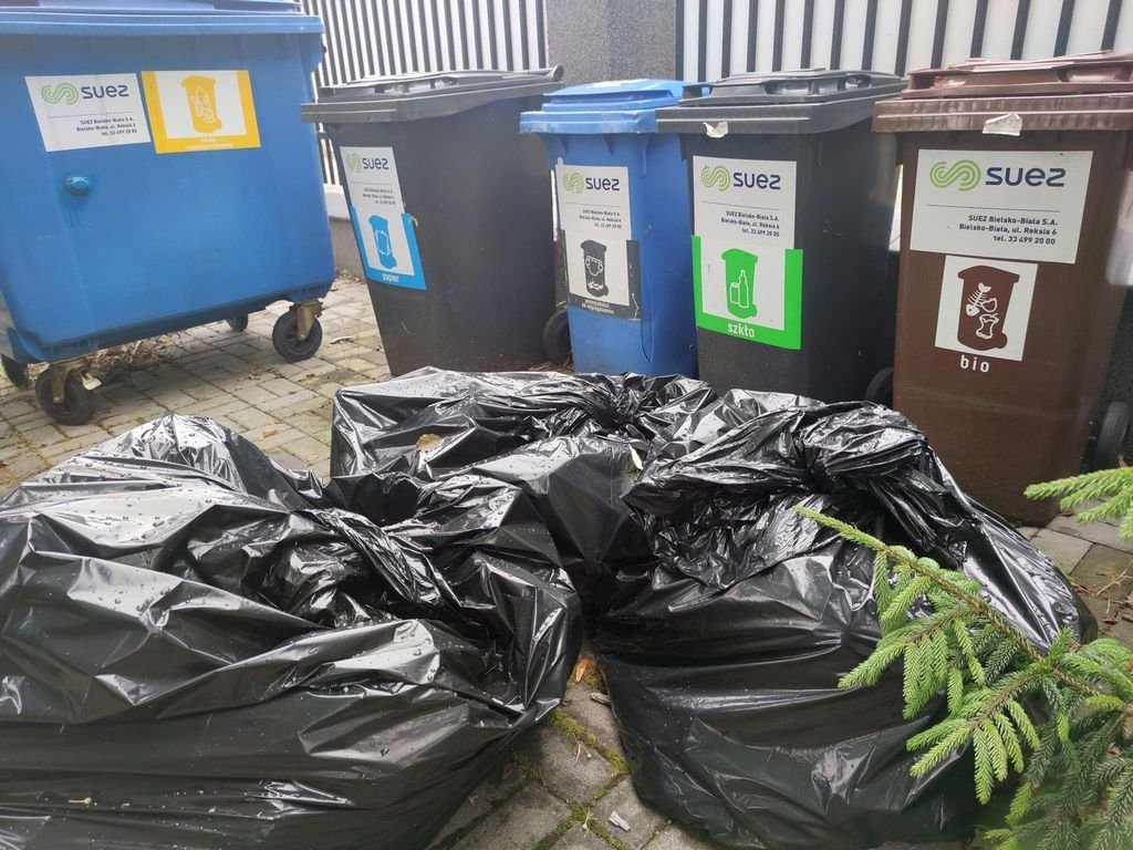 Większe kosze, częstszy odbiór bioodpadów