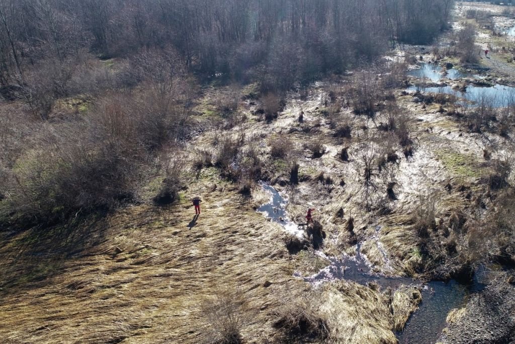 Od trzech tygodni szukają zaginionej 41-latki