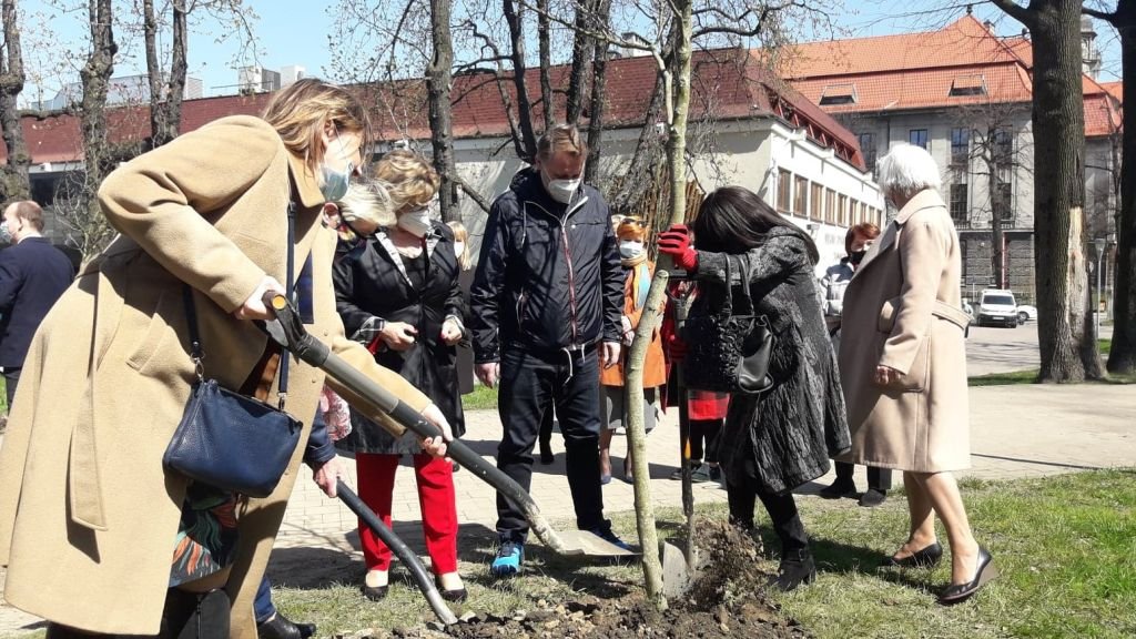 W bielskim parku od dzisiaj rosną perły