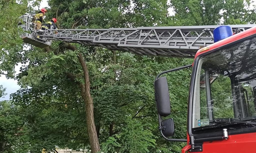 Prawie 170 interwencji strażaków!