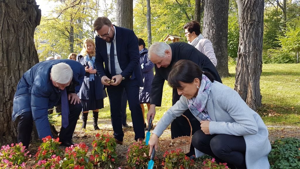 Żółty kwiat niesie nadzieję