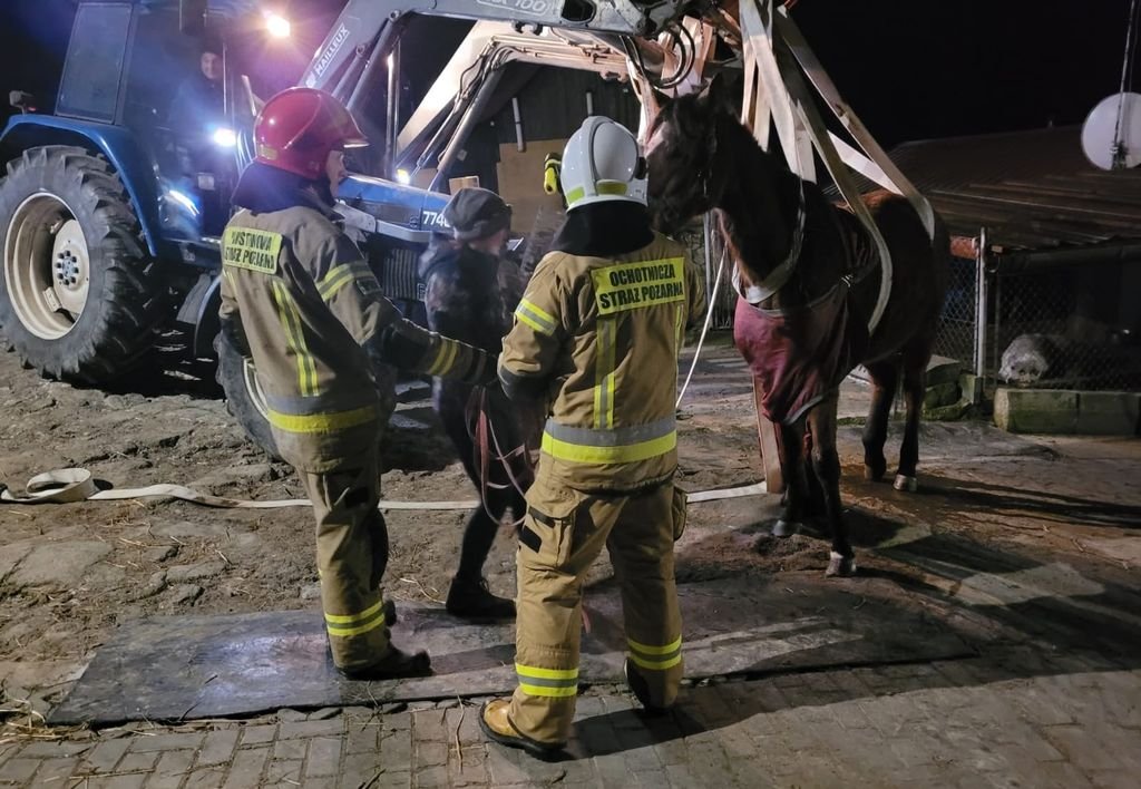 Koń potrzebował pomocy strażaków!