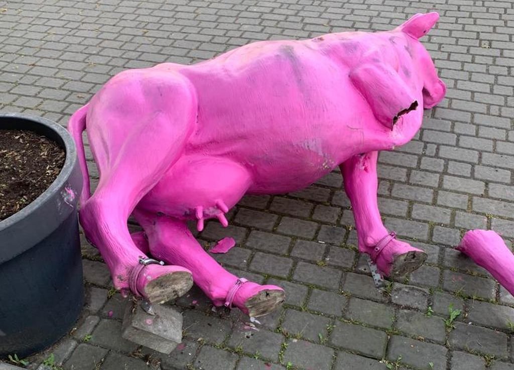 Zniszczono różową krowę. Ponownie