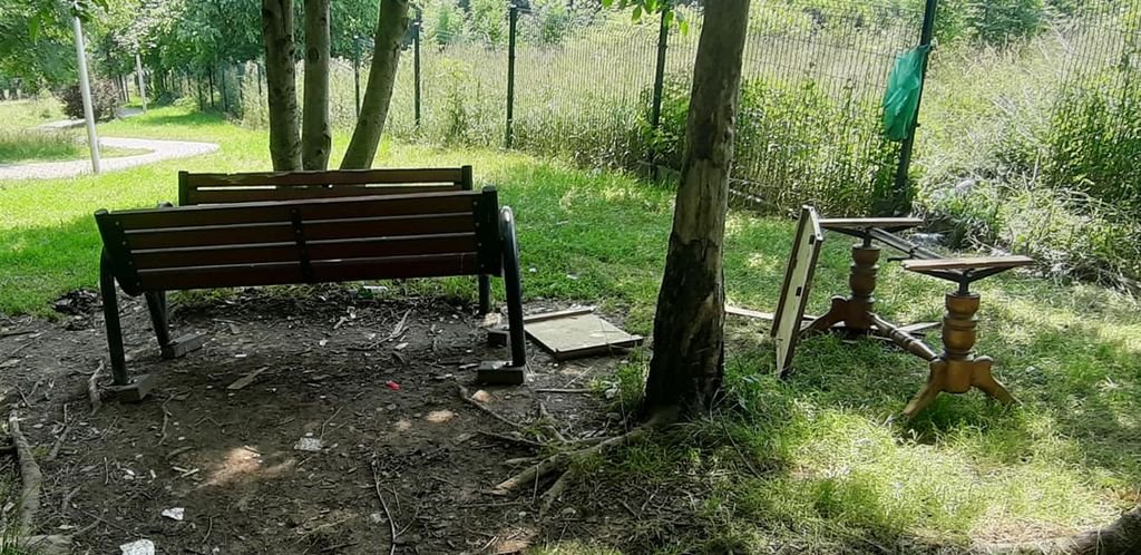 Zielony, ale zniszczony zakątek