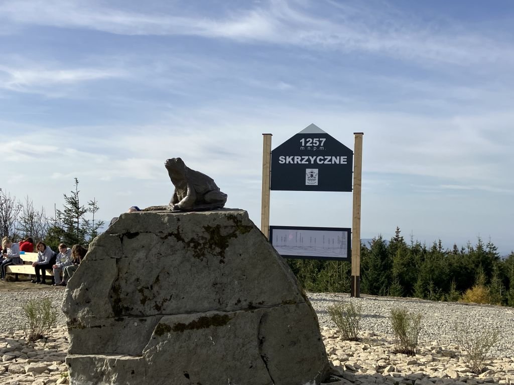 Na Skrzycznem zamieszkała żaba