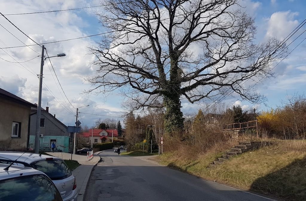 Wilk syty i owca cała