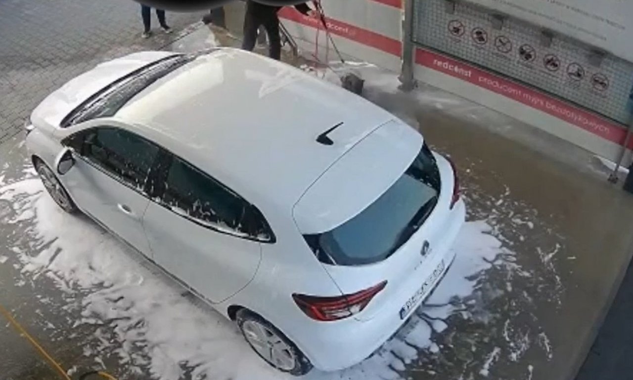 Umył psa na automyjni. Stanie przed sądem