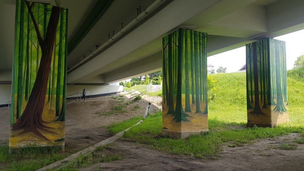 Pod ekspresówką... Jak w lesie!