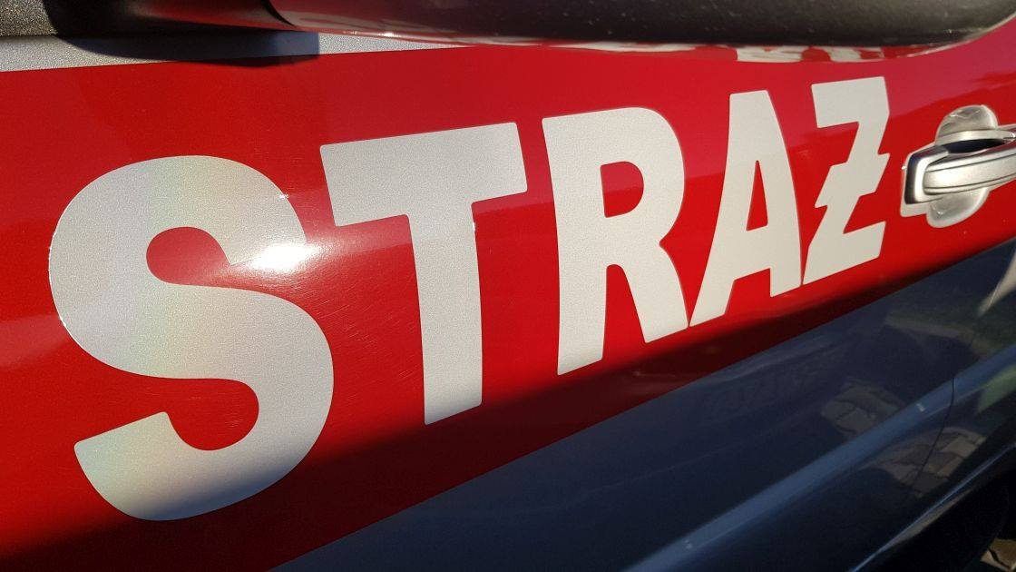 Wypadek W Lesie. Zginął Drwal