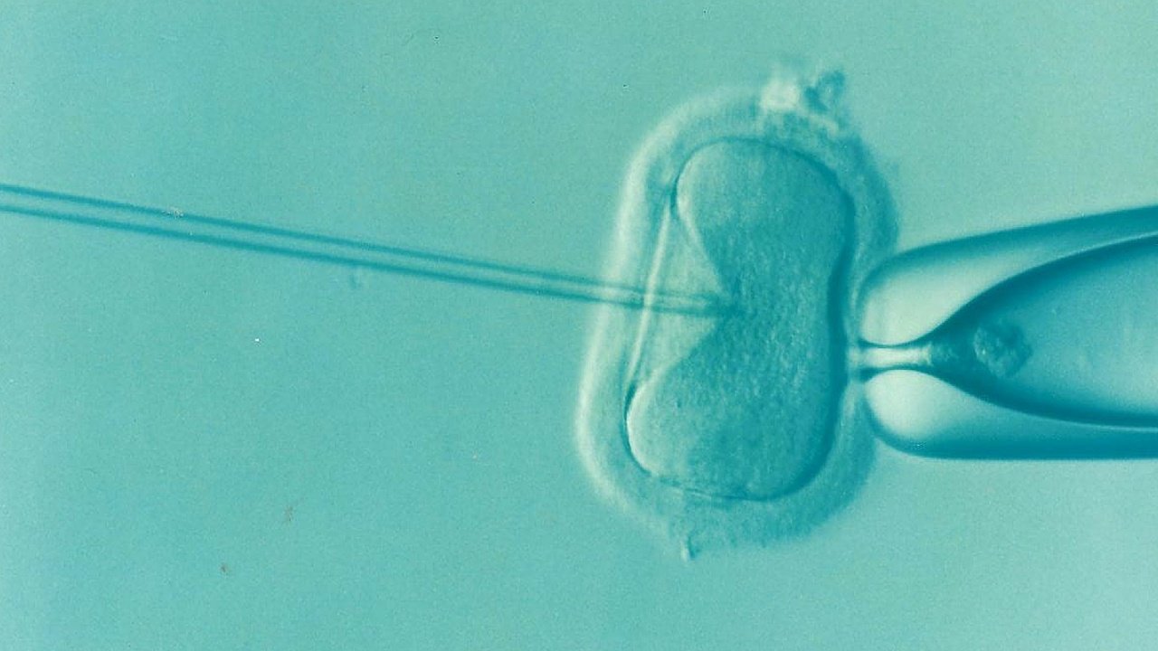 Przyjęli in vitro