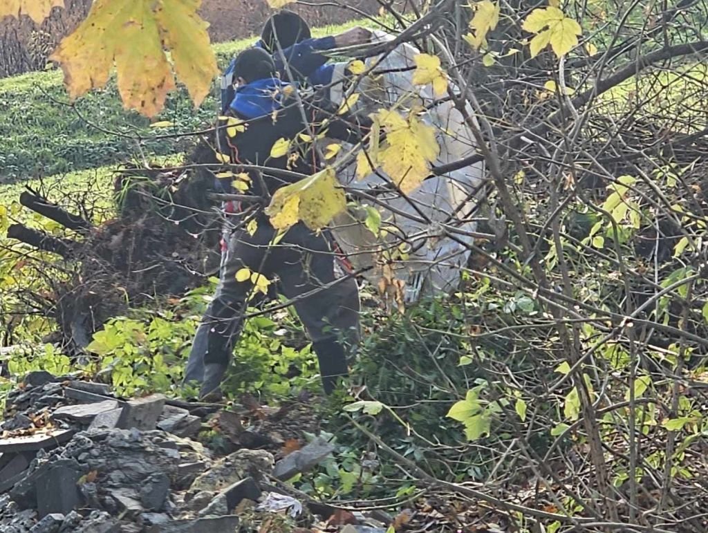 Tak pozbyto się trawy i gruzu