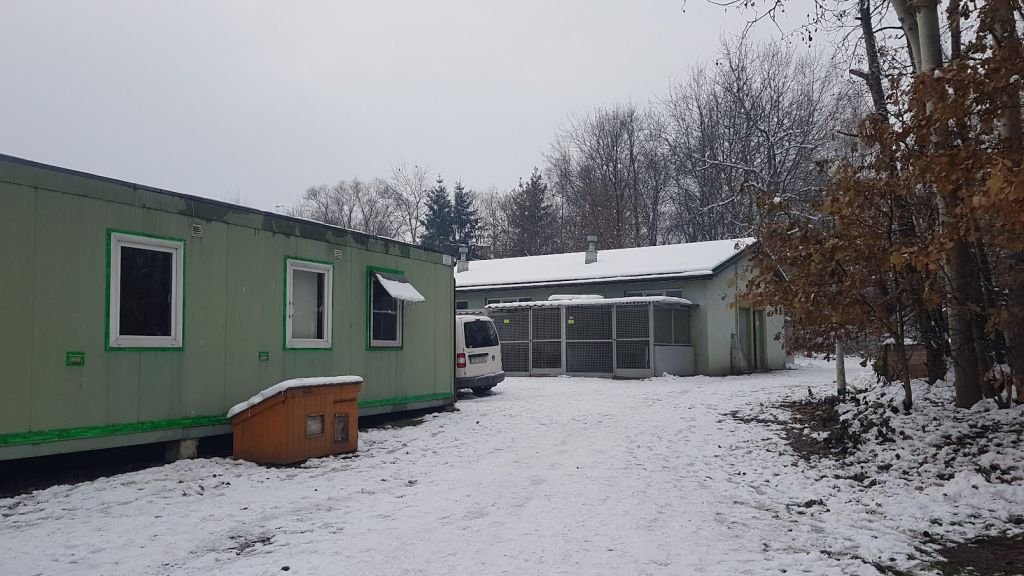 „Chcą nas zlikwidować”