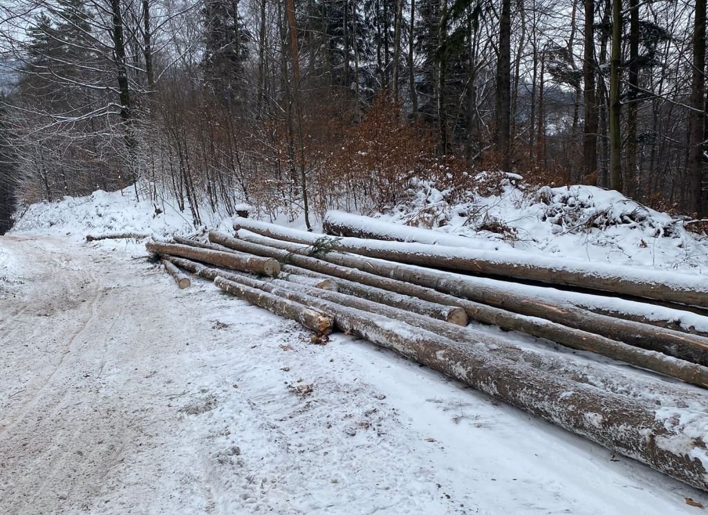 "Na szlaku około 2 km wycięto kilkaset drzew"