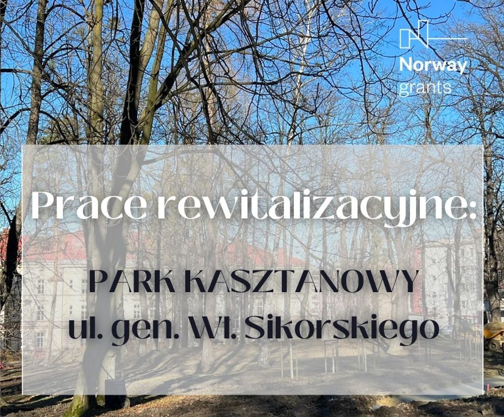 Kolejna zielona inwestycja w mieście