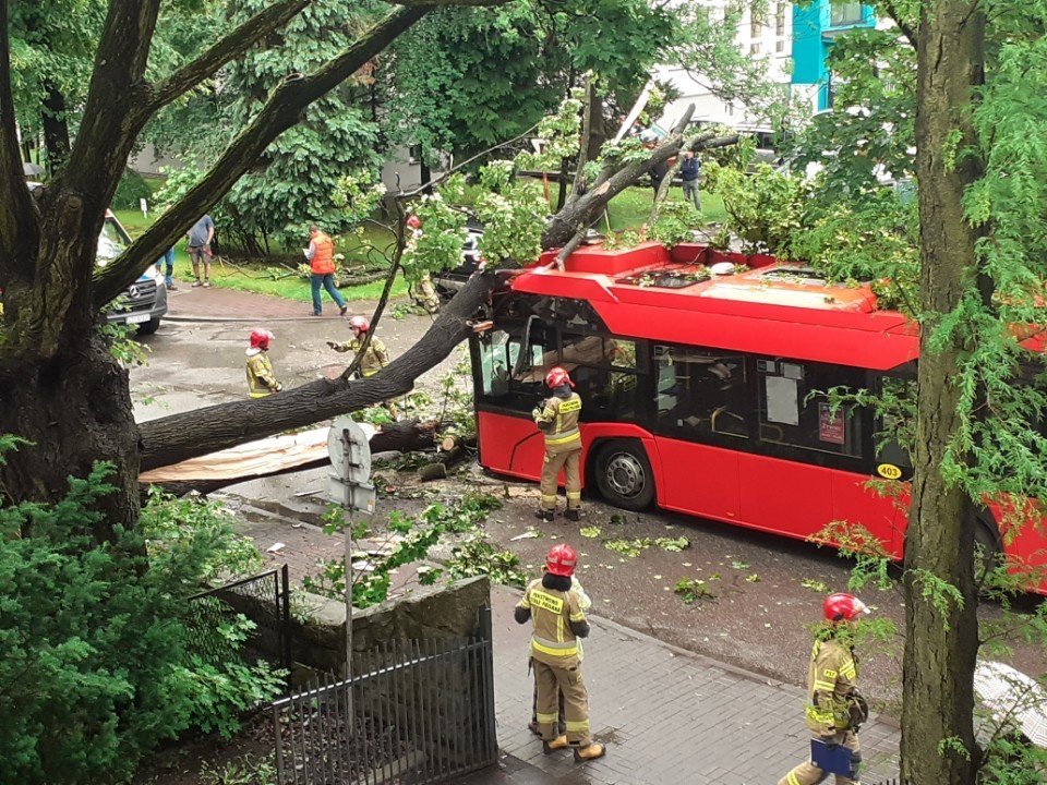 Drzewo Spadło Na Autobus