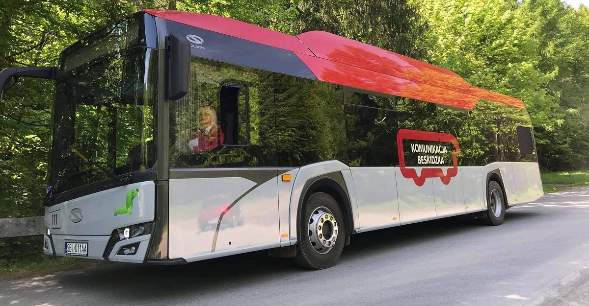 Dołożyli kursy