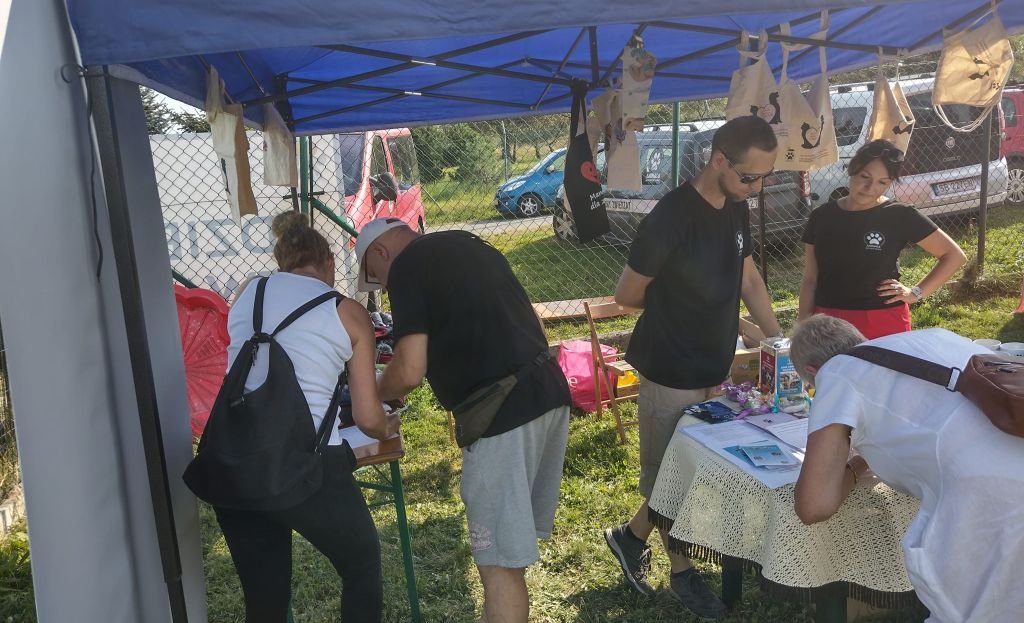 Zostały tylko dwa tygodnie! Zbierają podpisy