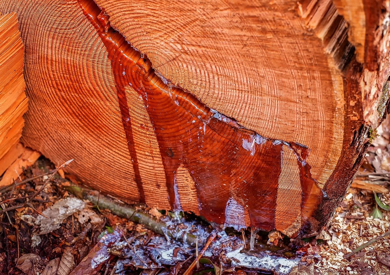 Pilarze w parku i przy Piastowskiej. Mieszkańcy oburzeni