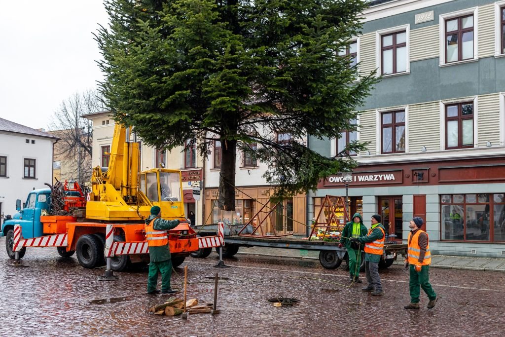 Choinka na rynku