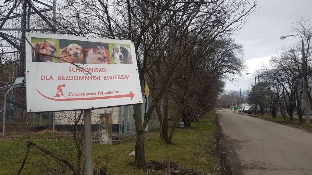 Przeprowadzka schroniska! Potrzebne wsparcie