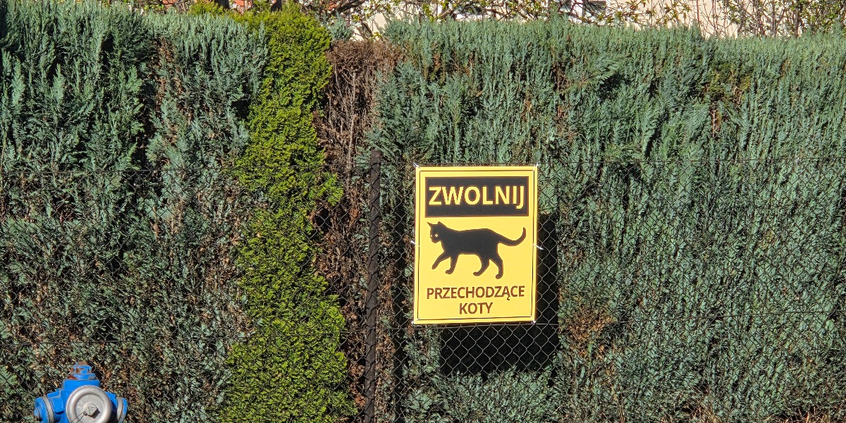 Nowe Tablice Pojawiły Się W Mieście