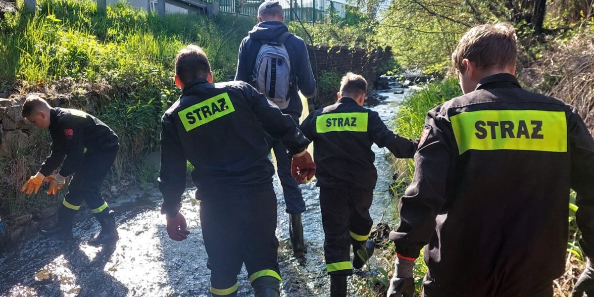 Śmieci wróciły szybciej niż zniknęły. „To tragedia. Takie zachowanie trudno zrozumieć"